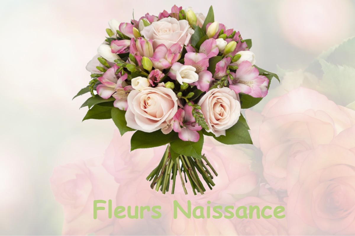 fleurs naissance SAINT-JEAN-DEVANT-POSSESSE