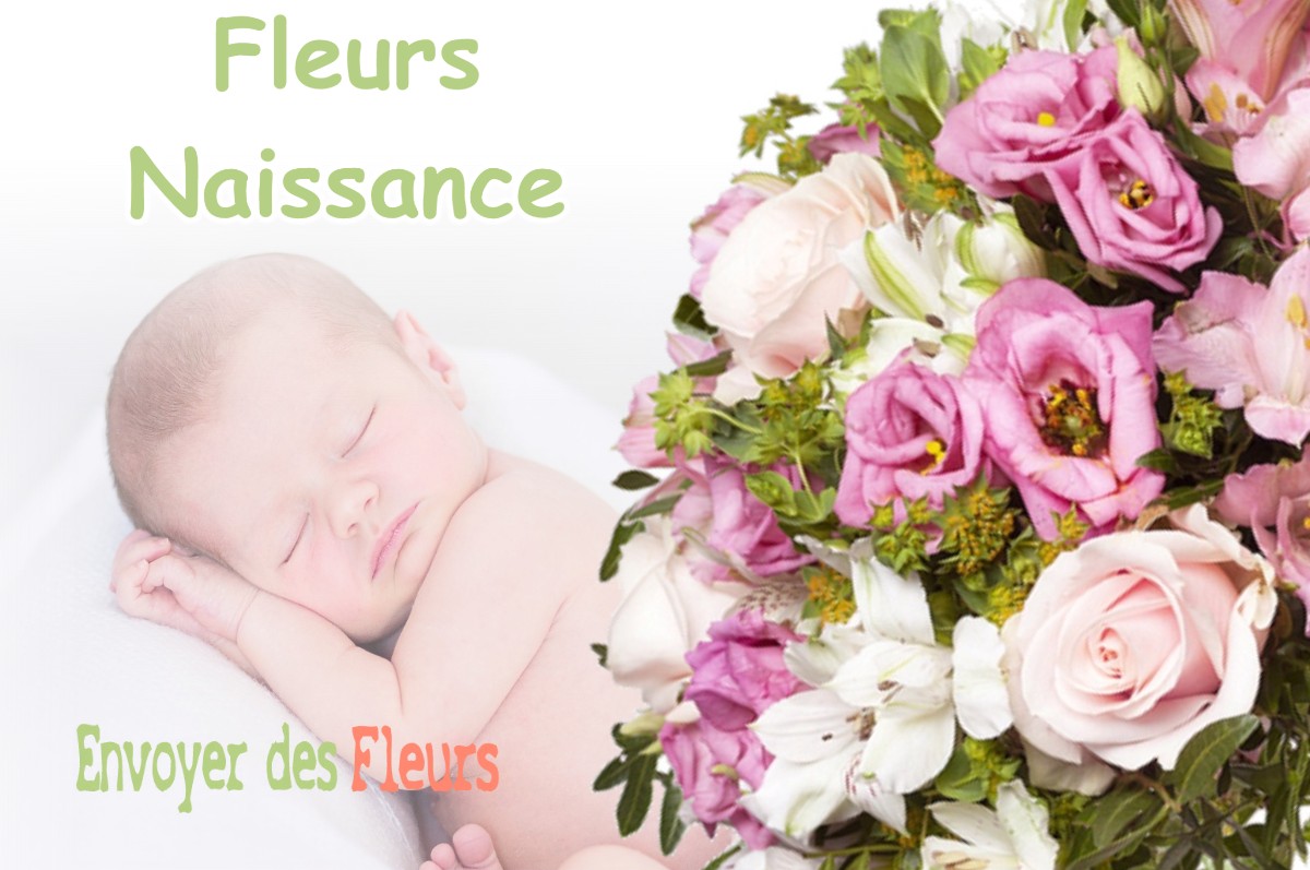 lIVRAISON FLEURS NAISSANCE à SAINT-JEAN-DEVANT-POSSESSE